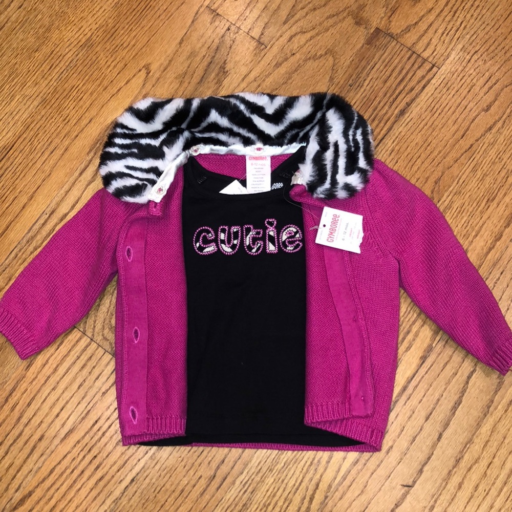 Gymboree sweater and shirt combo